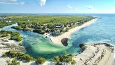 aerial-view-over-coral