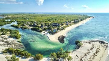 aerial-view-over-coral