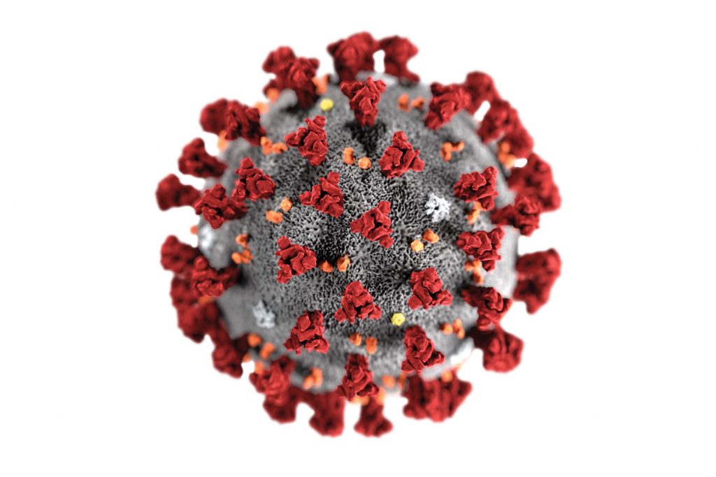 Prevenção do Coronavírus: Saiba todas as medidas que você deve tomar para se prevenir COVID-19.