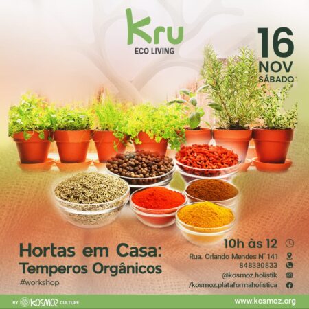 Workshop: Hortas em Casa – Temperos Orgânicos - Normal/Standard
