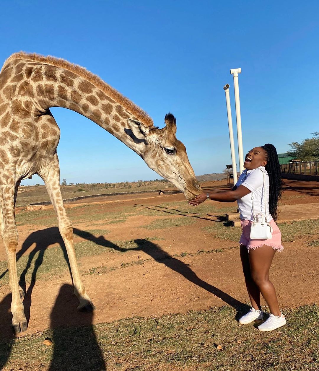 JARDIM ZOOLÓGICO DE NAMAACHA