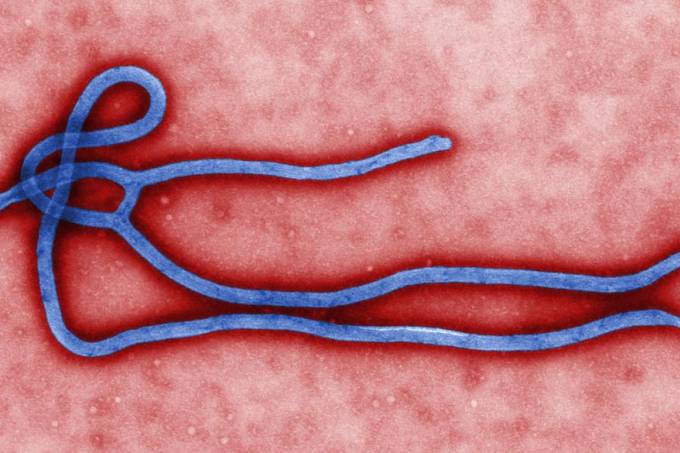 Ebola: EUA aprovam primeira vacina no país