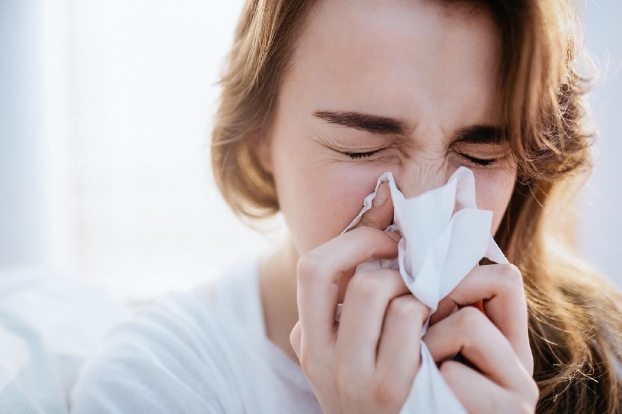 Conceito: O que é gripe?