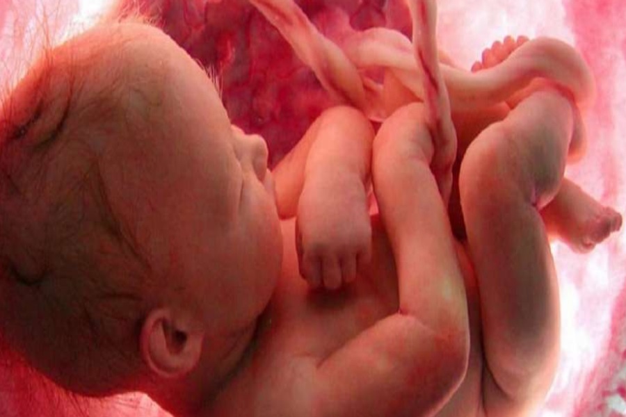 Entenda porquê os bebês chutam o útero