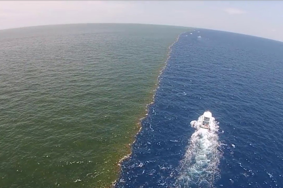 Por que as águas do oceano não se juntam?