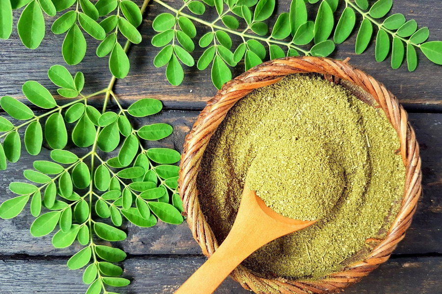 Conheça os benefícios da moringa para a saúde