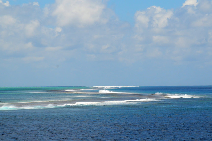 Celebre o Dia Mundial dos Oceanos