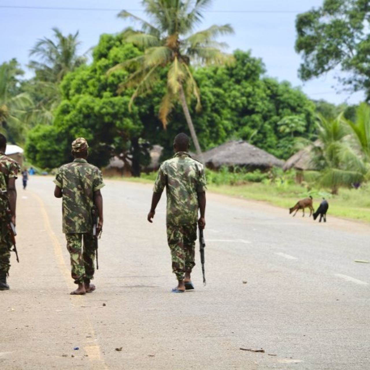 Insurgentes decapitam e torturam em Cabo Delgado