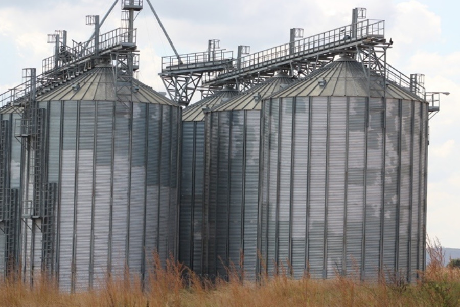 Governo concessiona silos de cereais e leguminosas