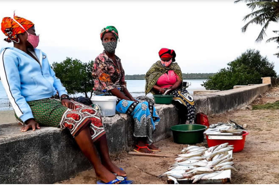 Pescadores recorrem à veda voluntária para evitar escassez de pescado