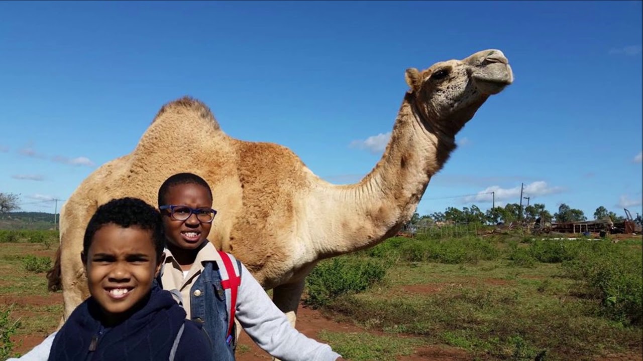 Moçambique: Jardim Zoológico de Namaacha