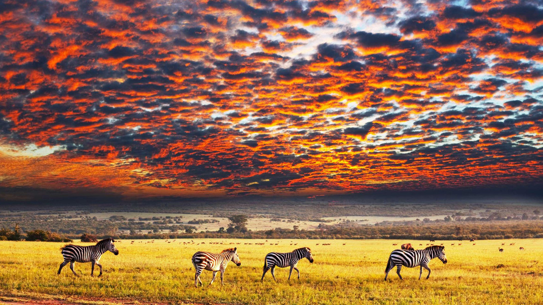 Parque Nacional Serengeti