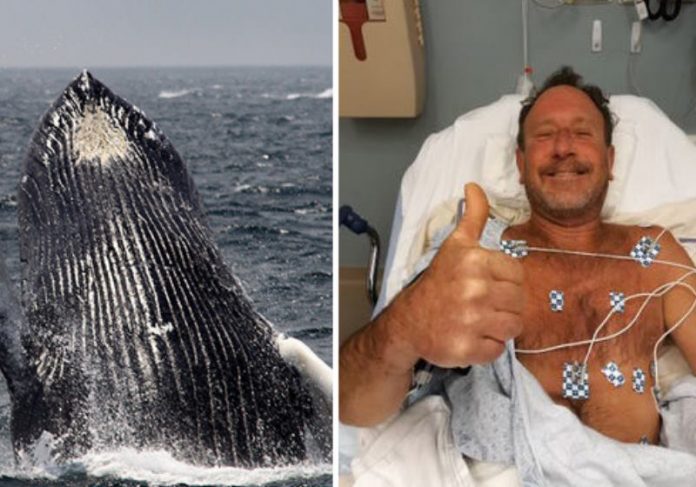 Mundo: Baleia engoliu pescador