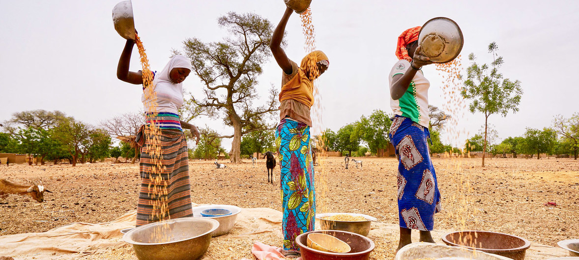 Moçambique: Mais de 1,8 milhões de pessoas enfrentam insegurança alimentar