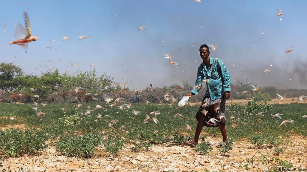 Governação económica: Peritos africanos apelam a um melhor financiamento para enfrentar os riscos das alterações climáticas