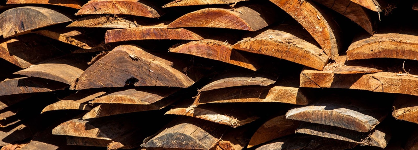 Moçambique: Exploração ilegal de madeira lesa Moçambique em 180 ME por ano