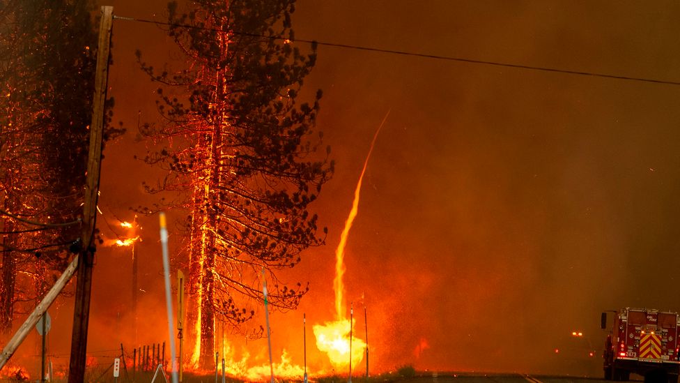 Europa: Altas temperaturas provocam incêndios florestais no sul da Europa