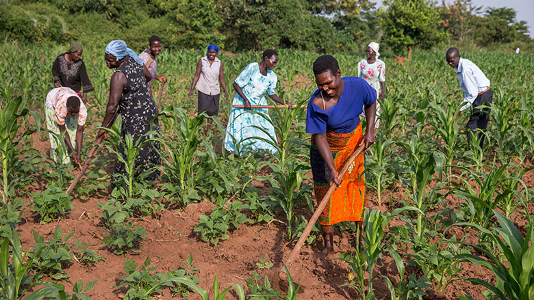 Africa: Enfrentar o desafio da segurança alimentar em África