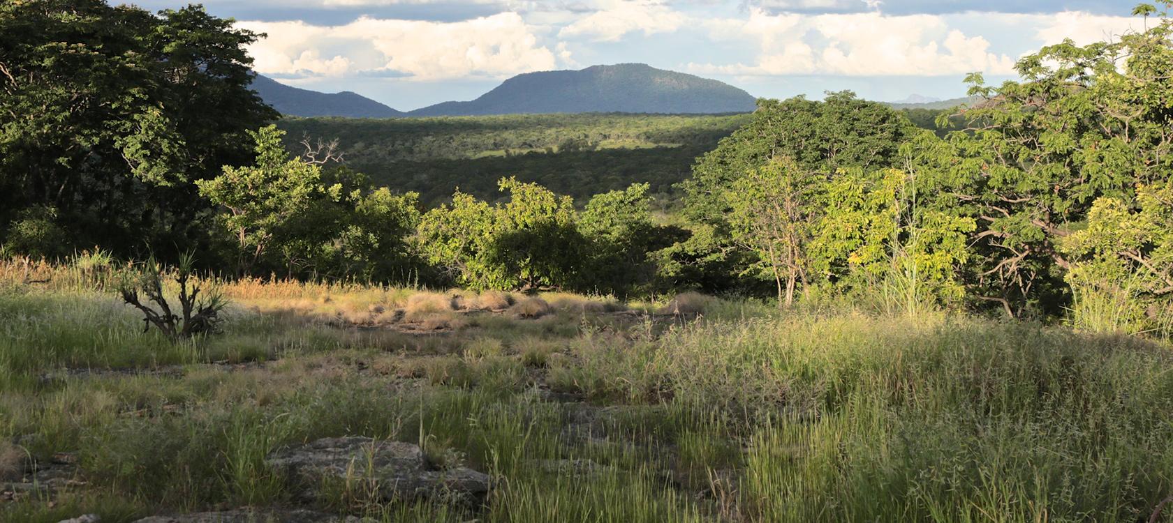 Viagens: Parque Nacional da Gorongosa, o santuário do ecoturismo de Moçambique