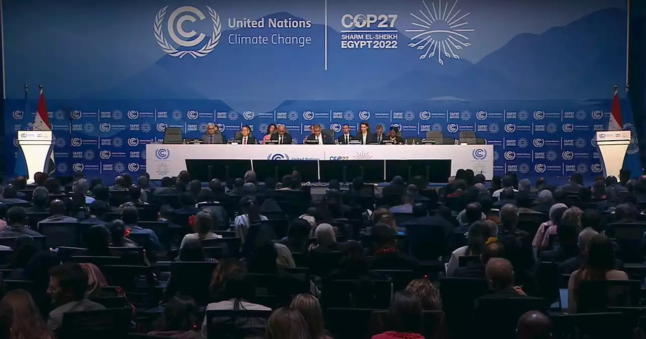 COP27/Clima: « Atmosfera fria » na COP27, debates tensos sobre o financiamento dos danos climáticos