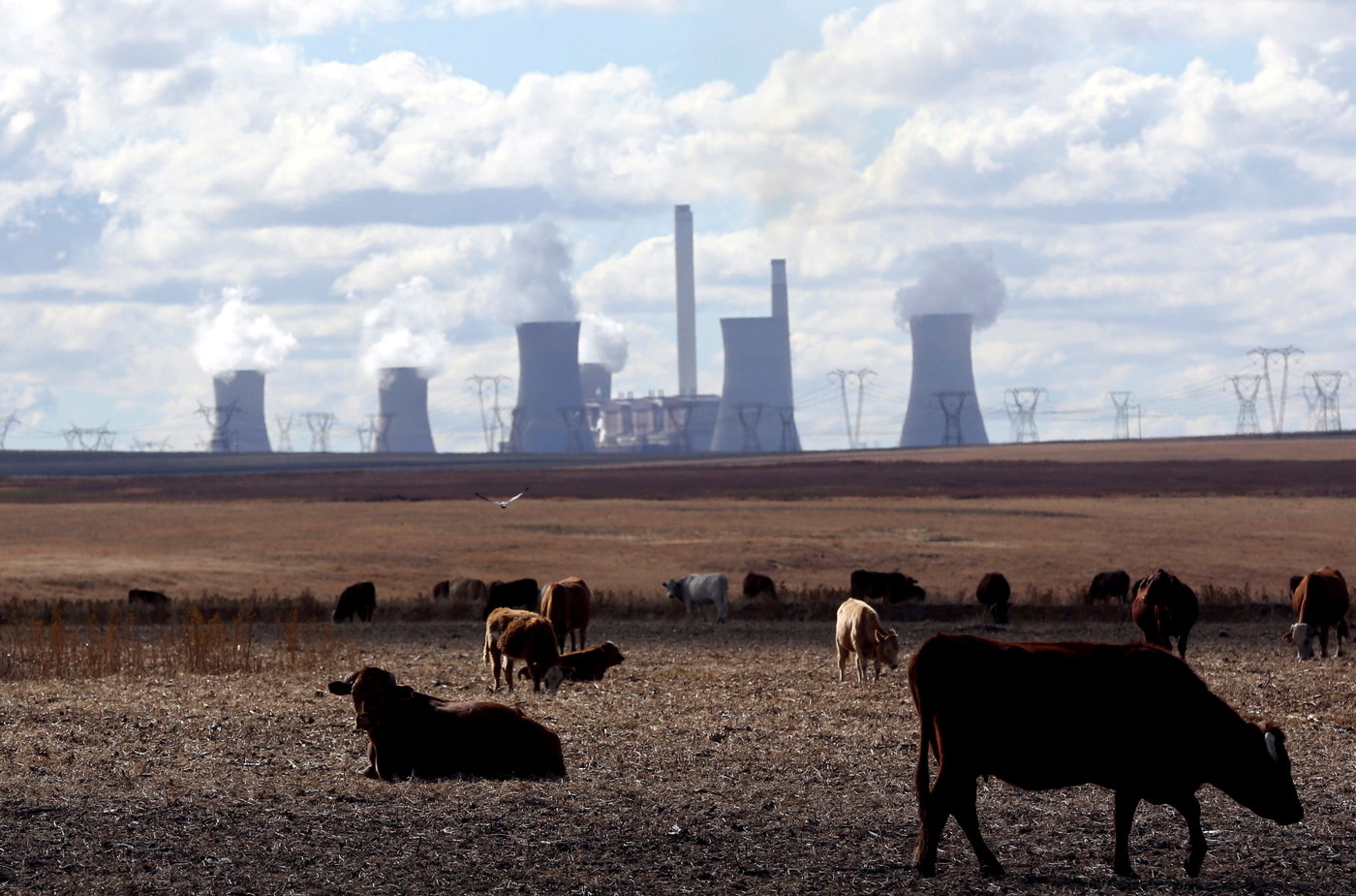 África do Sul/Carvão: a África do Sul pretende ser neutra em carbono até 2050