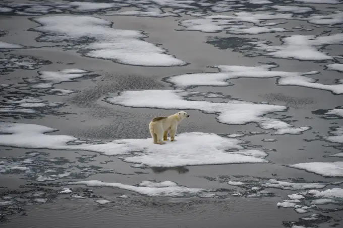 Relatório da ONU sobre o clima: ONU lança « guia de sobrevivência para a humanidade »