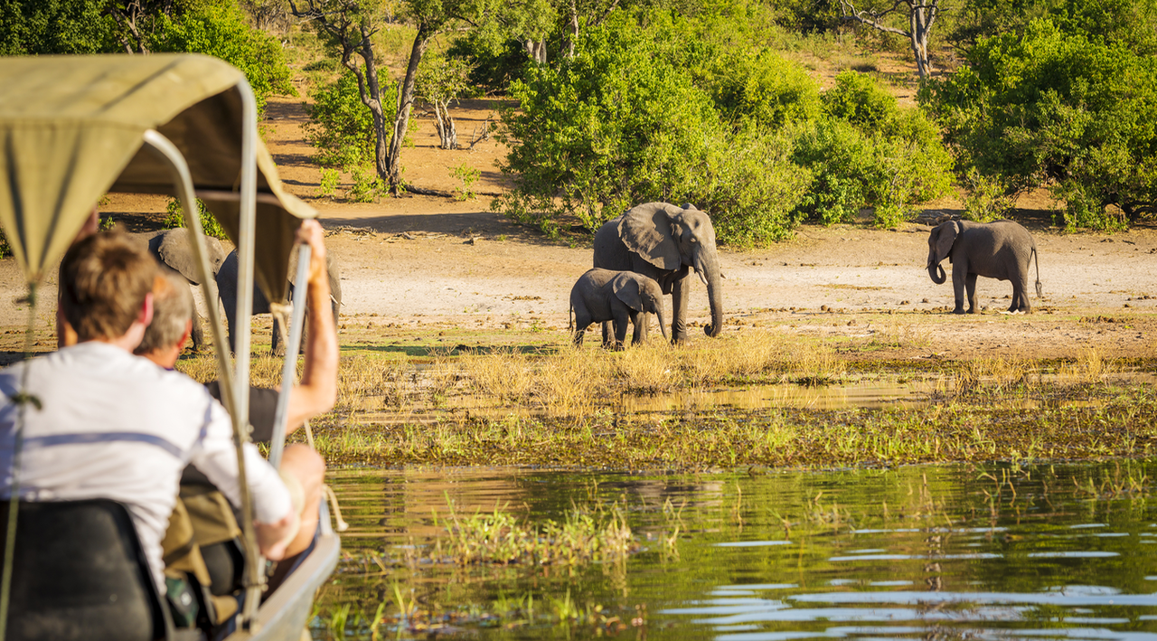 MozBox: Parque Nacional de Maputo, uma das eco-regiões de biodiversidade mais ricas do planeta