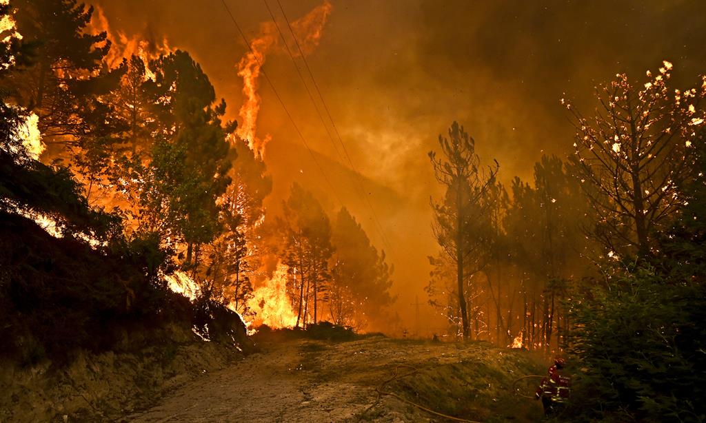 Europa/incêndios:  Segunda vaga de calor intensifica incêndios nos arredores de Atenas