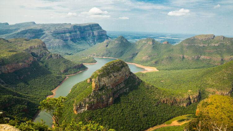 África do Sul: aqui estão 5 safaris extraordinários