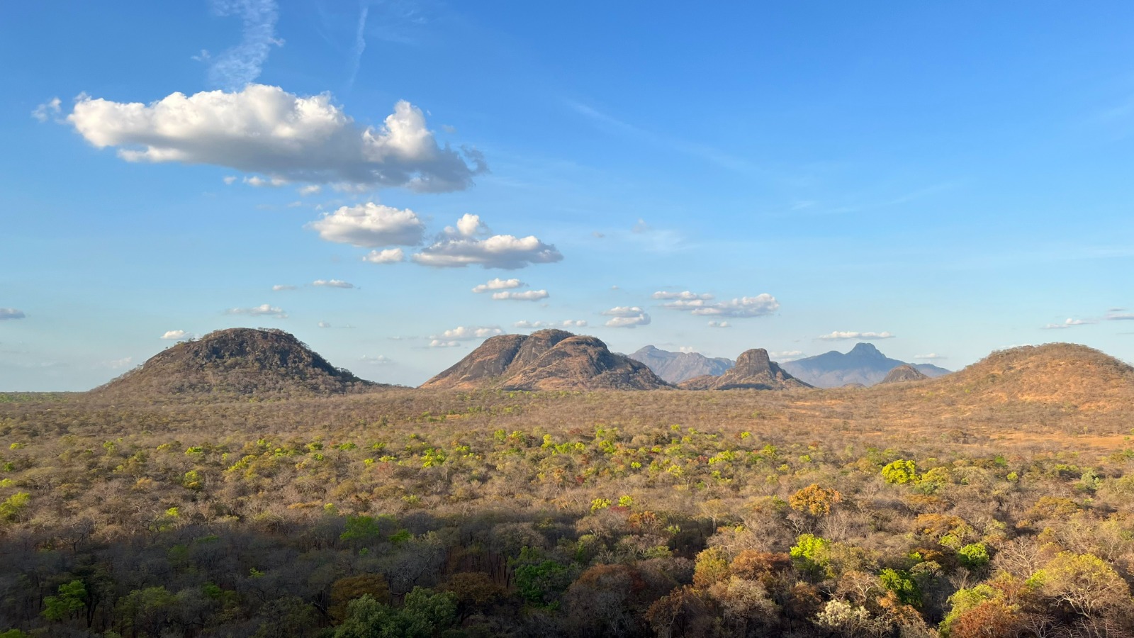 Moçambique/Ambiente: Reforço da Conservação em Moçambique, Uma Colaboração para a Reserva Especial do Niassa