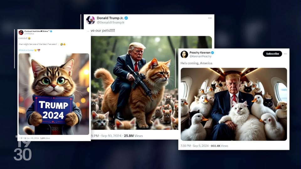 Política: Donald Trump diz que os migrantes comem cães e gatos de forma descontraída