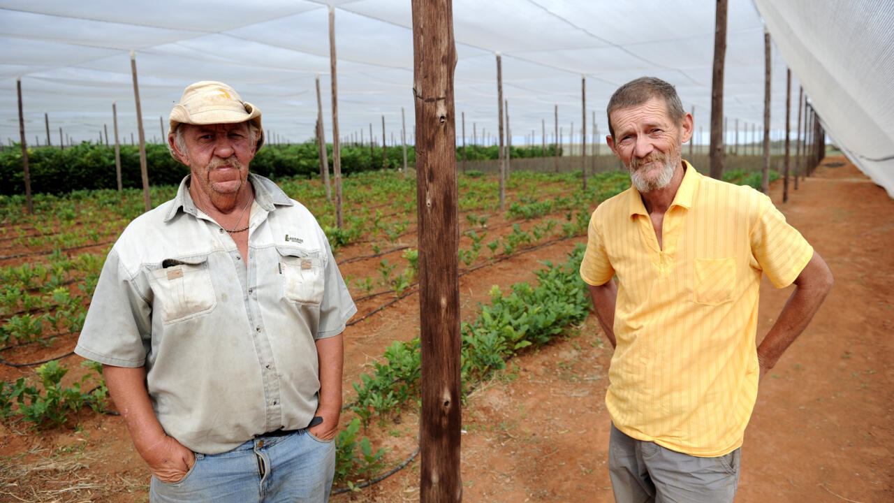 África/África do Sul: Afrikaners rejeitam oferta de Trump de asilo nos Estados Unidos