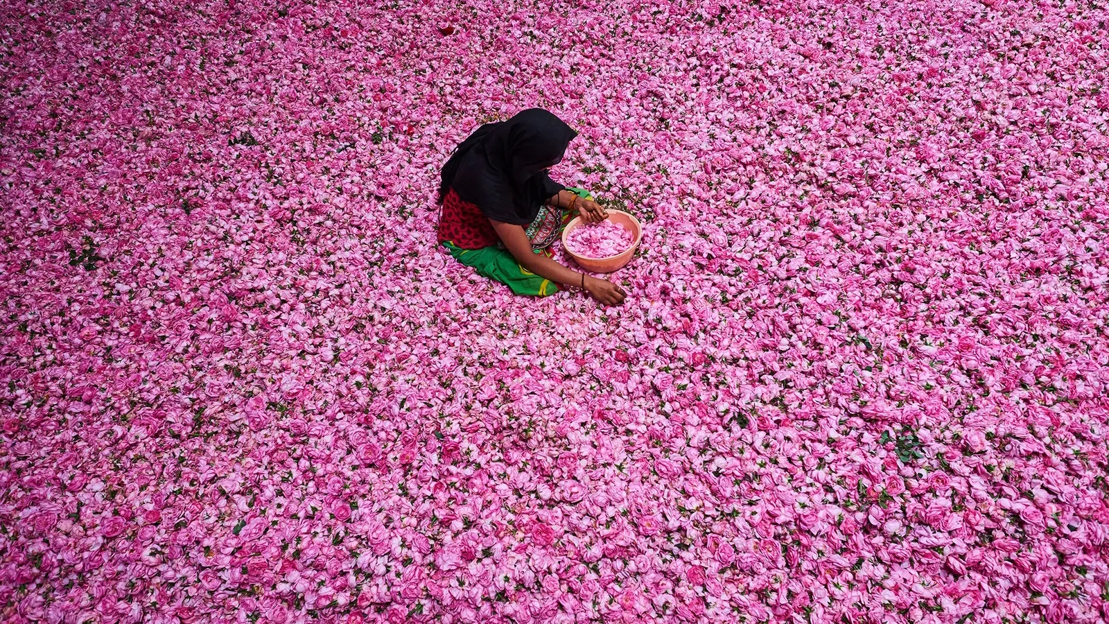 Viagem/Descoberta: De Kannauj para o Mundo, A Magia do Atar e Suas Fragrâncias Atemporais