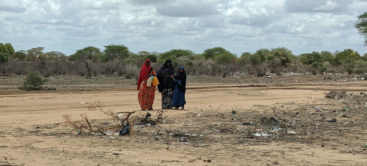 Internacional/África: África enfrenta crise climática sem precedentes com secas e inundações devastadoras