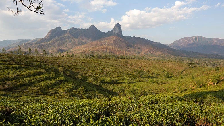 Moçambique/Sociedade: Como estão a ser usados os milhões destinados às comunidades na gestão dos recursos naturais?