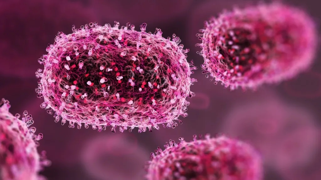 Saúde: Mpox em Moçambique, o que é, causas, sintomas, diagnóstico, tratamento e vacinação para conter a epidemia
