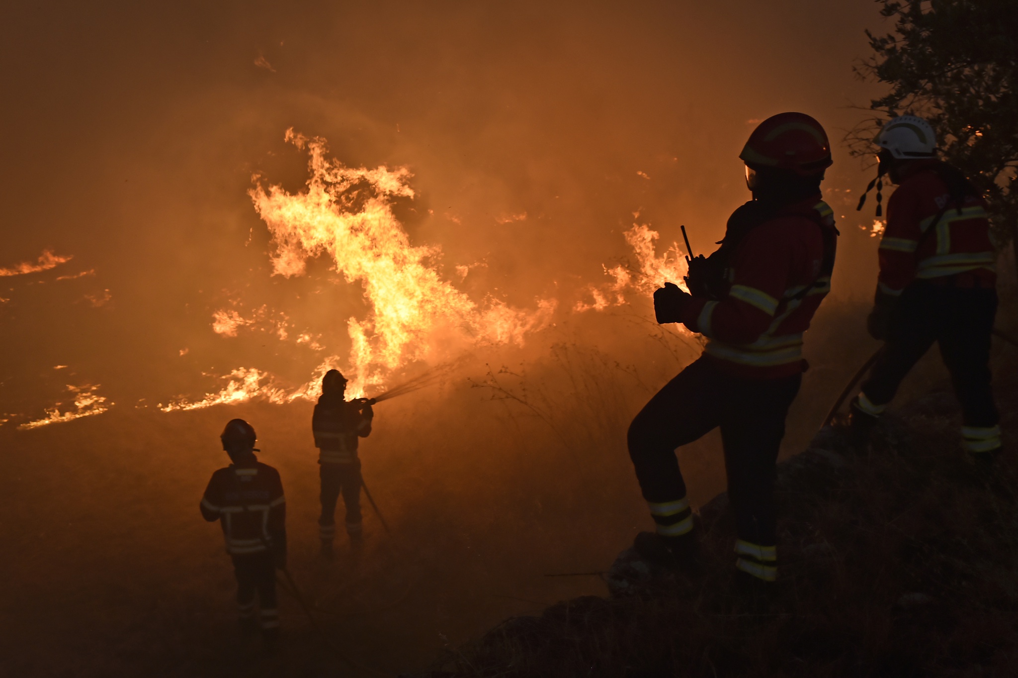 Internacional/Europa: Incêndios devastadores batem recordes na Europa em 2025 impulsionados por calor extremo e seca